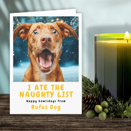 Ik Heb De Stoute Lijst Hond Kerst Foto Feestdagen Kaart