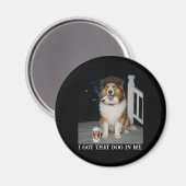 Ik Heb Die Hond In Me, Grappige Collie Meme Magneet (Voorkant / Achterkant)