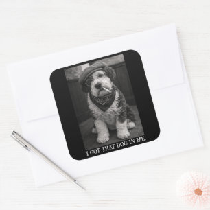 Ik Heb Die Hond In Me Grappige Sheepadoodle Foto Vierkante Sticker