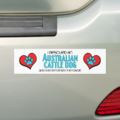 Ik heb een Australische Cattle Dog gered (Vrouweli Bumpersticker (Op auto)