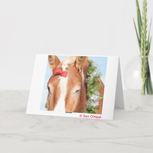 Ik heb een bank voor Kerstmis... Feestdagen Kaart (Achterkant)