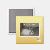 Ik heb een bunny magneet (Voorkant / Achterkant)