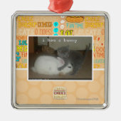 Ik heb een bunny metalen ornament (Voorkant)