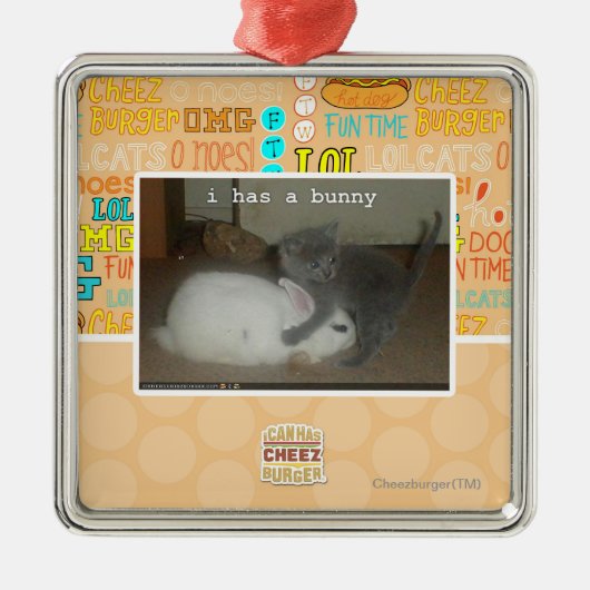 Ik heb een bunny metalen ornament (Voorkant)