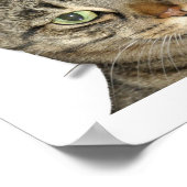 Ik heb een cattitude-probleem. poster (Hoek)