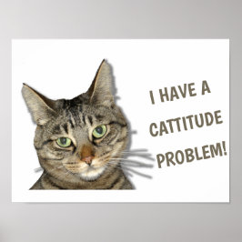Ik heb een cattitude-probleem. poster