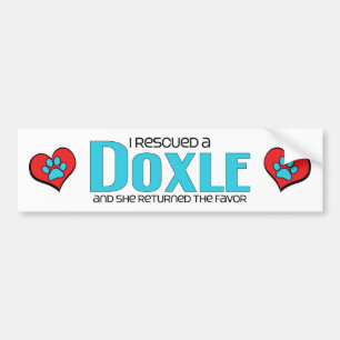 Ik heb een Doxle (Vrouw) Dog Adoption Design gered Bumpersticker