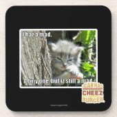 Ik heb een gek bier onderzetter (Voorkant)