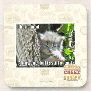 Ik heb een gek bier onderzetter