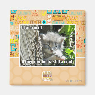 Ik heb een gek magneet