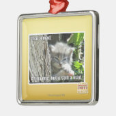 Ik heb een gek metalen ornament (Links)