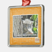 Ik heb een gek metalen ornament (Links)