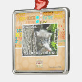 Ik heb een gek metalen ornament (Links)