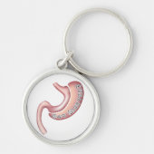 Ik heb een gestroomlijnde Sleutelhanger (Voorkant)