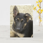 Ik heb een goed oor...Wenskaart Kaart (Gele Bloem)