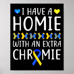 Ik heb een homie met een extra chroomlaagsyndroom poster