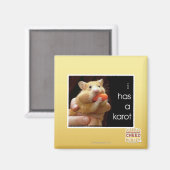Ik heb een karot magneet (Voorkant / Achterkant)