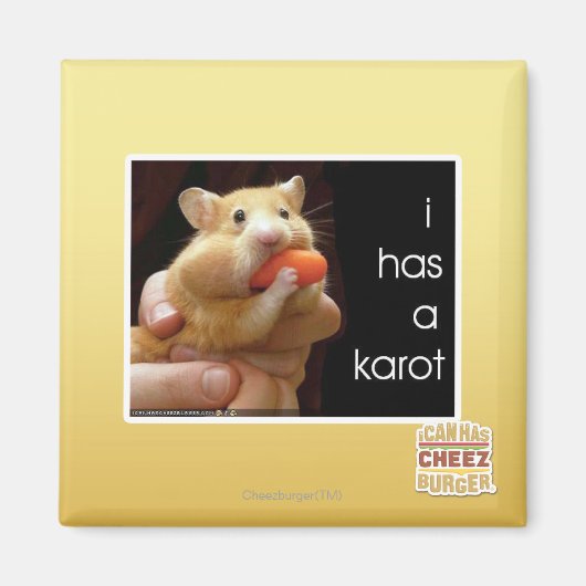 Ik heb een karot magneet (Voorkant)