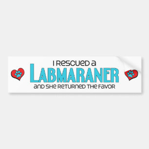 Ik heb een Labmaraner (Vrouw) gered. Bumpersticker