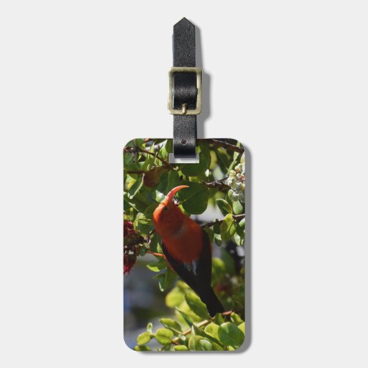 Ik heb een Lehua Blossom. Bagagelabel (Voorkant verticaal)