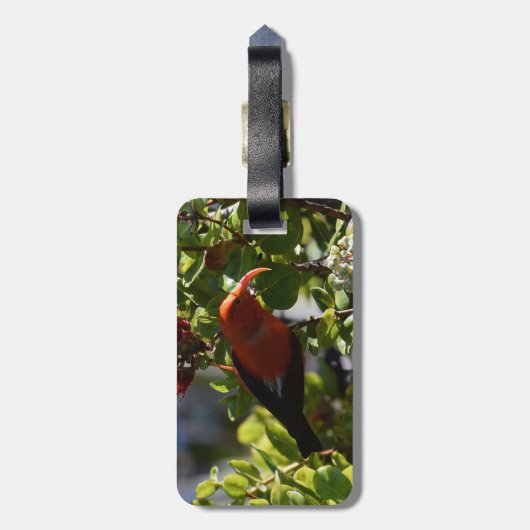 Ik heb een Lehua Blossom. Bagagelabel (Achterkant verticaal)