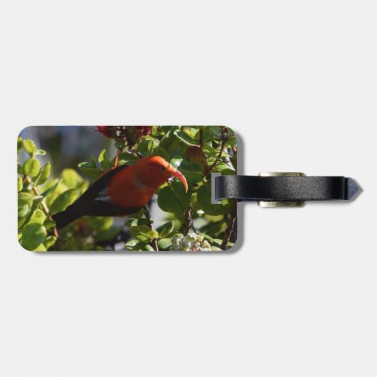 Ik heb een Lehua Blossom. Bagagelabel (Achterkant horizontaal)