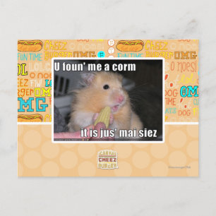 Ik heb een maïs gevonden briefkaart