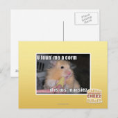 Ik heb een maïs gevonden briefkaart (Voorkant / Achterkant)