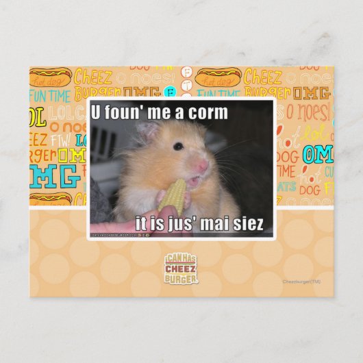 Ik heb een maïs gevonden briefkaart (Voorkant)