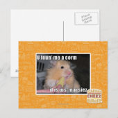 Ik heb een maïs gevonden briefkaart (Voorkant / Achterkant)