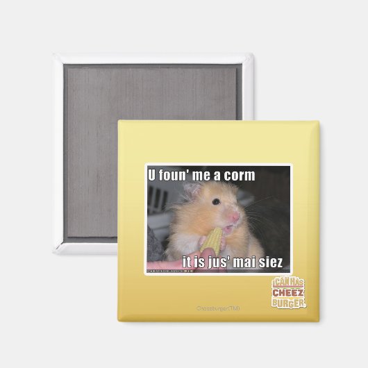 Ik heb een maïs gevonden magneet (Voorkant / Achterkant)