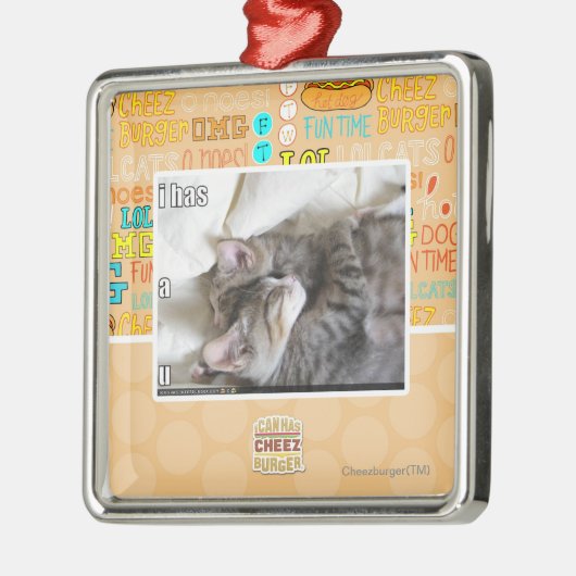 Ik heb een metalen ornament (Links)