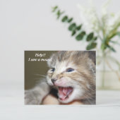 !   Ik heb een muis gezien! Briefkaart (Staand voorkant)