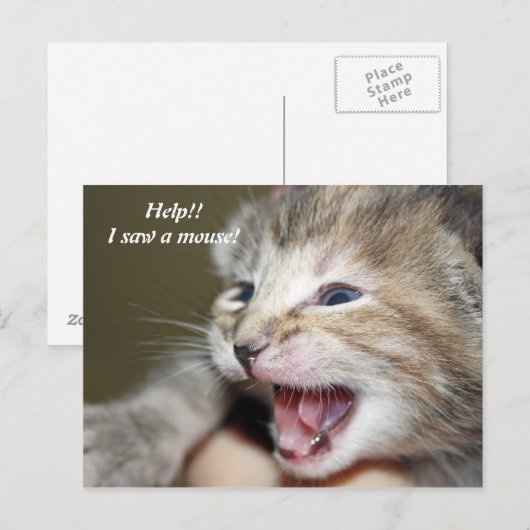 !   Ik heb een muis gezien! Briefkaart (Voorkant / Achterkant)