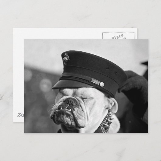 Ik heb een nap nodig: 1923 briefkaart (Voorkant / Achterkant)