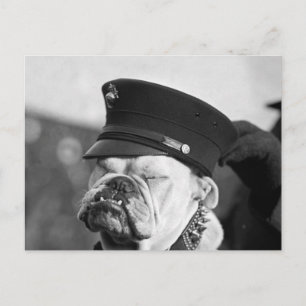 Ik heb een nap nodig: 1923 briefkaart