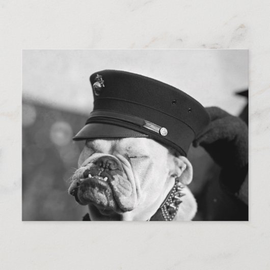 Ik heb een nap nodig: 1923 briefkaart (Voorkant)