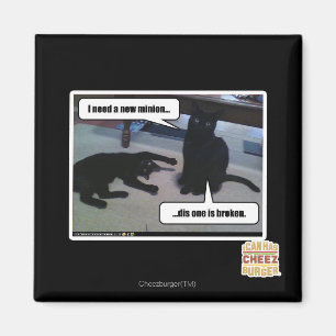 Ik heb een nieuwe minion nodig magneet