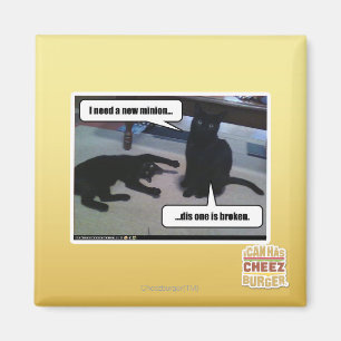 Ik heb een nieuwe minion nodig magneet