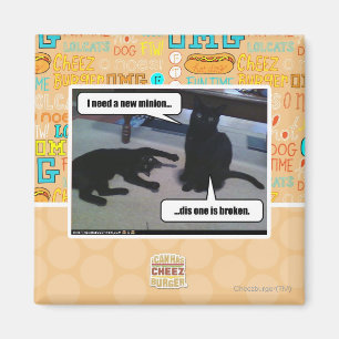 Ik heb een nieuwe minion nodig magneet