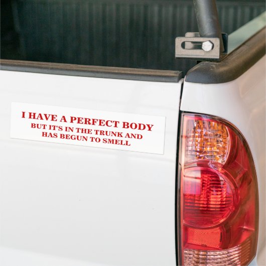IK HEB EEN PERFECT LICHAAM. BUMPERSTICKER (Op Truck)