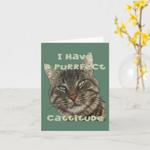 Ik Heb Een Purrfecte Kattenattitude Leuk Grappige Kaart