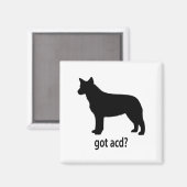 Ik heb een runderhond magneet (Voorkant / Achterkant)