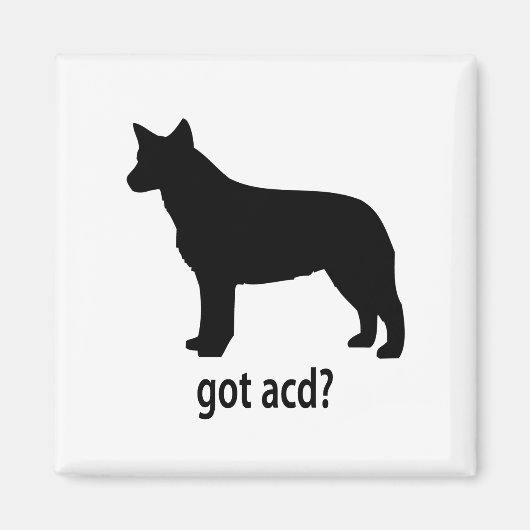 Ik heb een runderhond magneet (Voorkant)