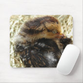 Ik heb een Schattige Baby kip met een jeuk. Muismat (Met muis)