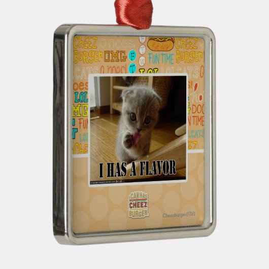 Ik heb een smaak metalen ornament (Rechts)