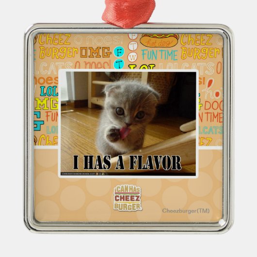 Ik heb een smaak metalen ornament (Voorkant)