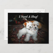 Ik heb een sukkel nodig. briefkaart (Voorkant / Achterkant)