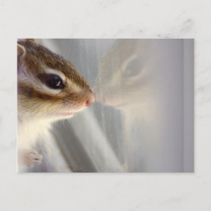 Ik heb een vriend nodig briefkaart