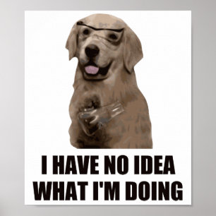 Ik heb geen idee wat ik doe poster